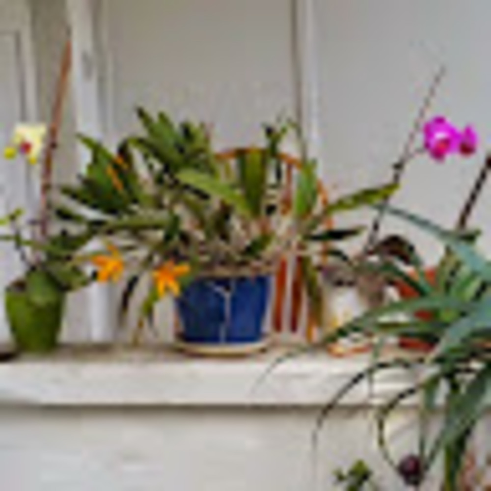 Meet your Posher, Mo